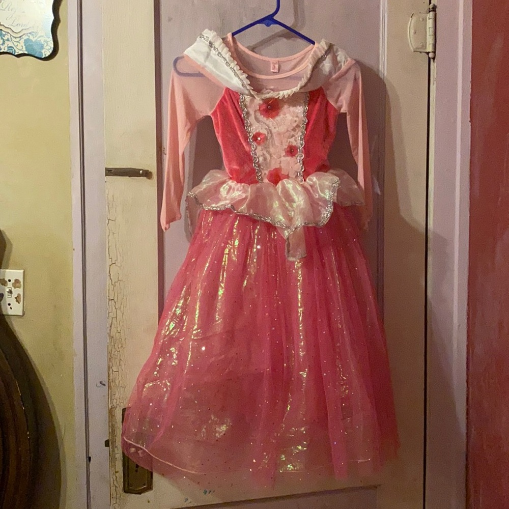 Princess Dress up Halloween costume